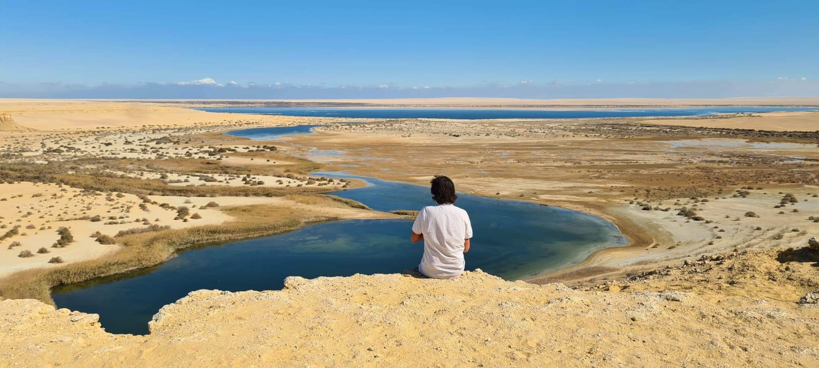 Figure solitaire contemplant un désert oasis en Égypte