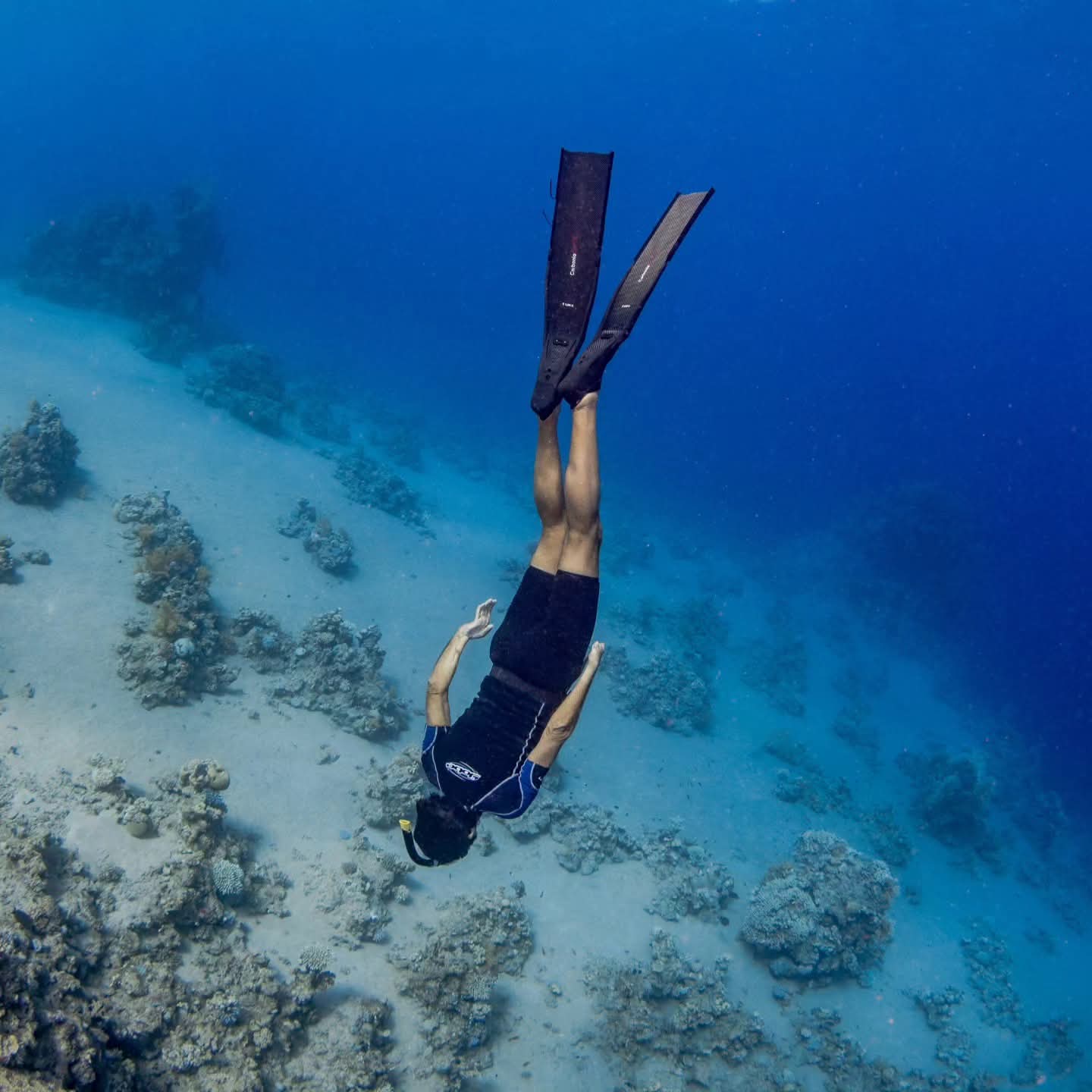 Plongée dans la mer Rouge